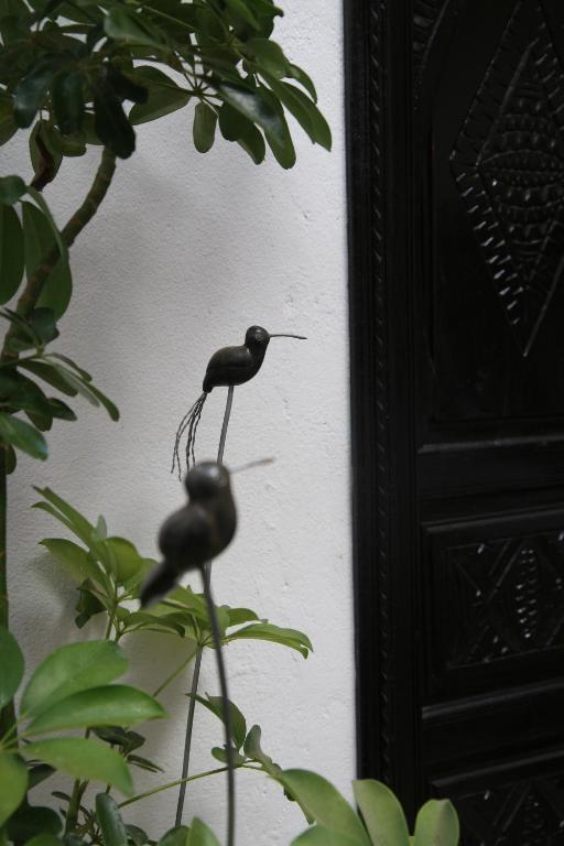 Riad Dar Zampa Марракеш Экстерьер фото